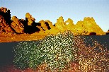 c004
