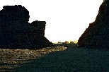 c005