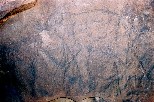 b017