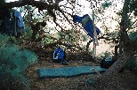 g012
