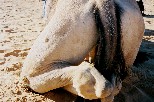 f002