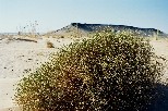 e001