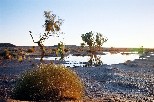 e018