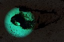 f009