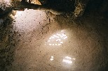 g033