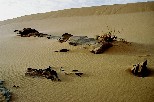b006