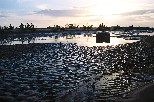 e008
