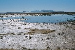 f006