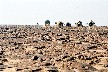 c022