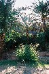 d032V