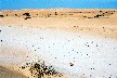 a008