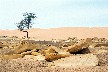 a009