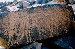 h006