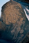 h007V