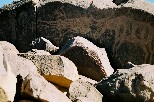 h009