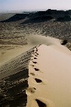 e003V