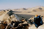 e006