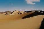 g004