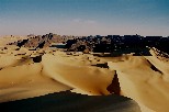 g006