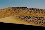 g011