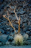 f014V