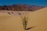 g001