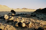 f004
