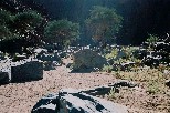 f009