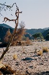 f016V