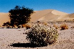 f023
