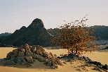 g016